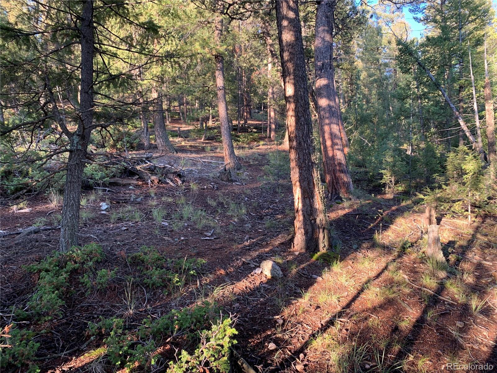 12907 S Cindy Avenue Pine CO 80470