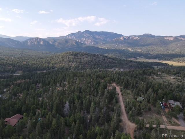 12907 S Cindy Avenue Pine CO 80470