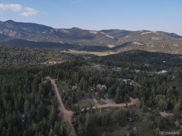 12907 S Cindy Avenue Pine CO 80470