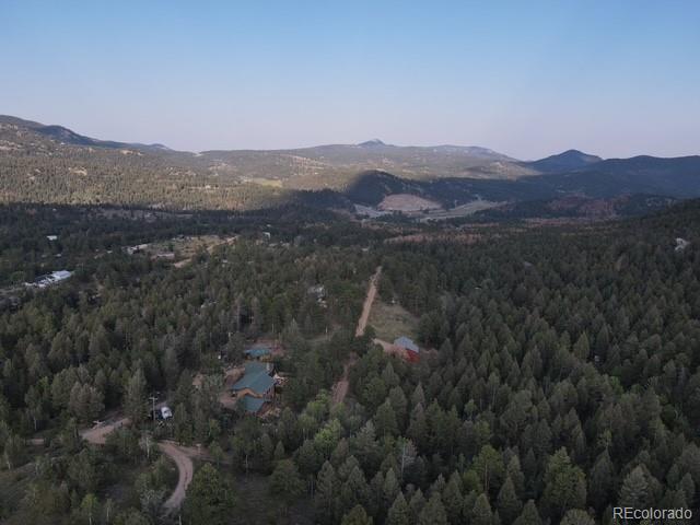 12907 S Cindy Avenue Pine CO 80470