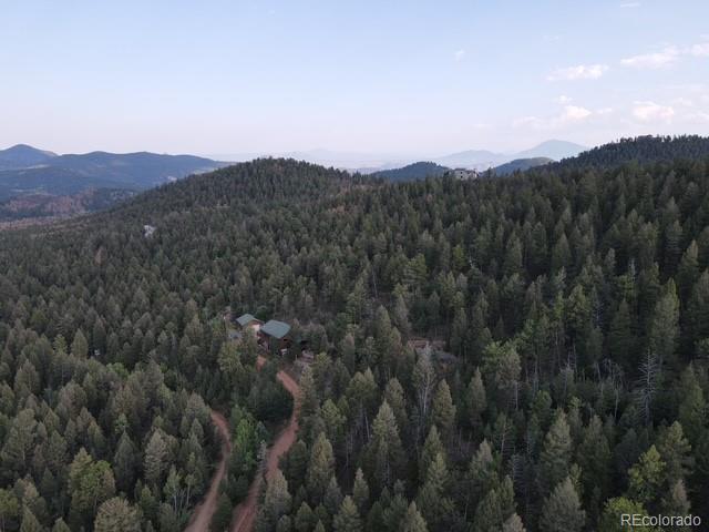 12907 S Cindy Avenue Pine CO 80470