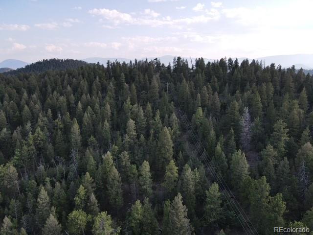 12907 S Cindy Avenue Pine CO 80470