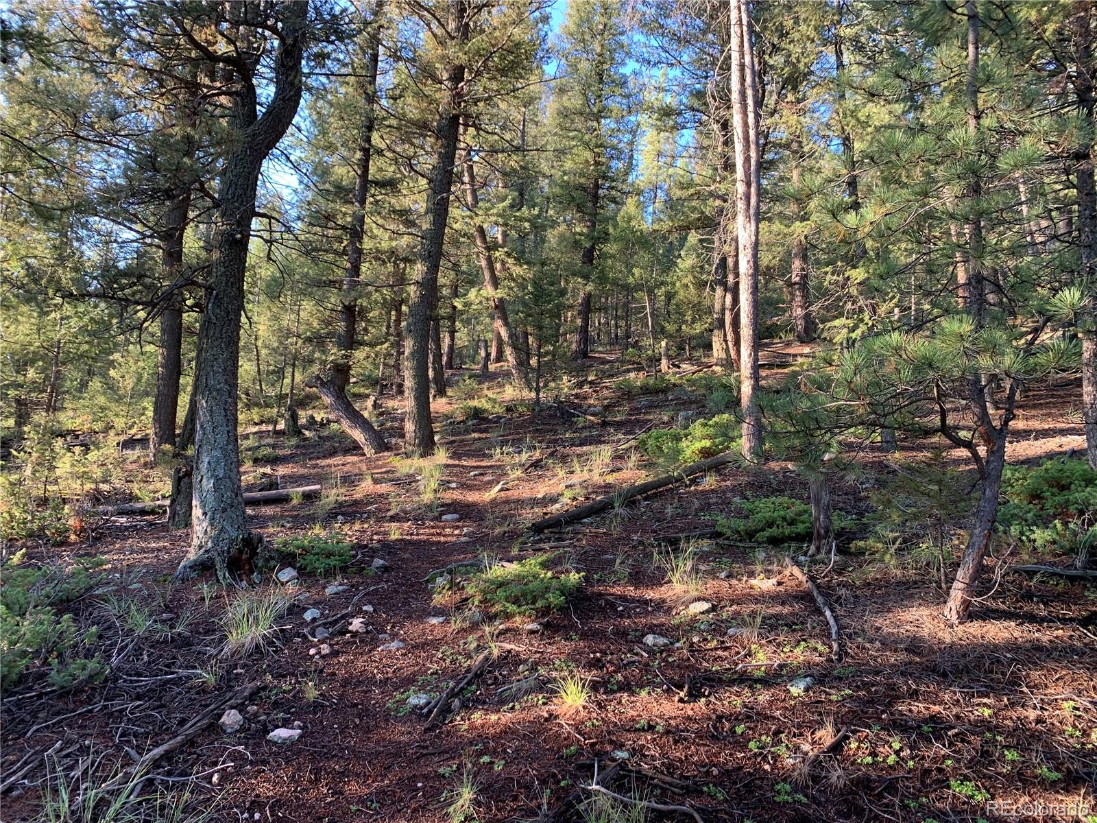 12907 S Cindy Avenue Pine CO 80470