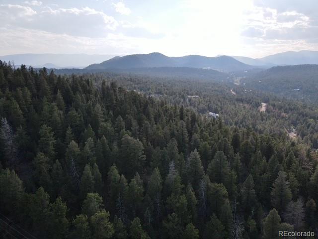 12907 S Cindy Avenue Pine CO 80470
