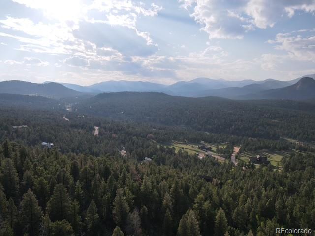 12907 S Cindy Avenue Pine CO 80470