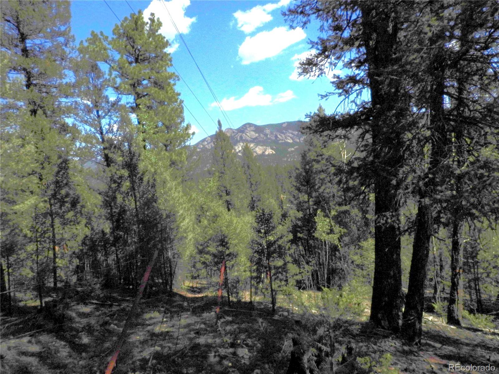 12907 S Cindy Avenue Pine CO 80470