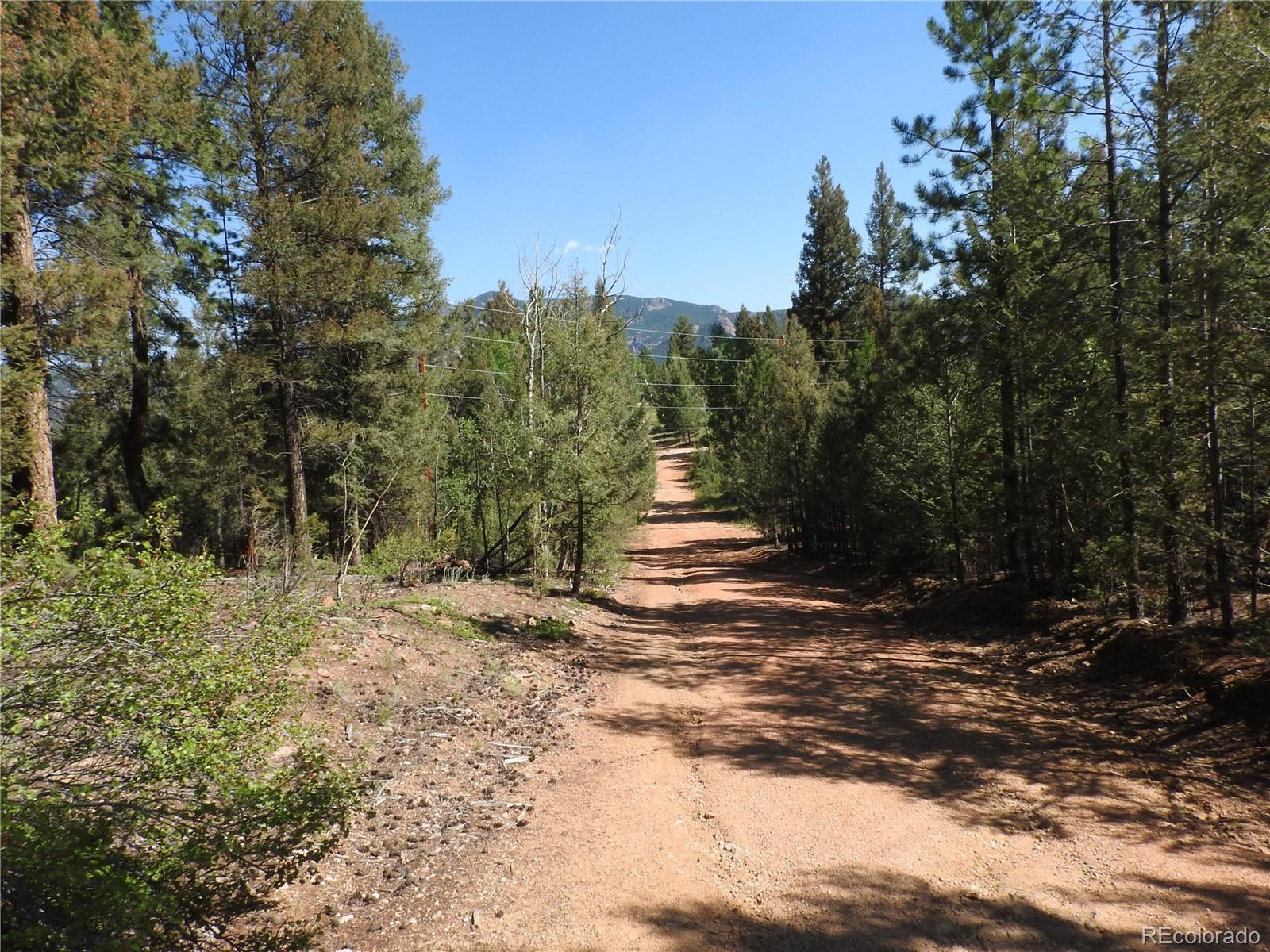 12907 S Cindy Avenue Pine CO 80470