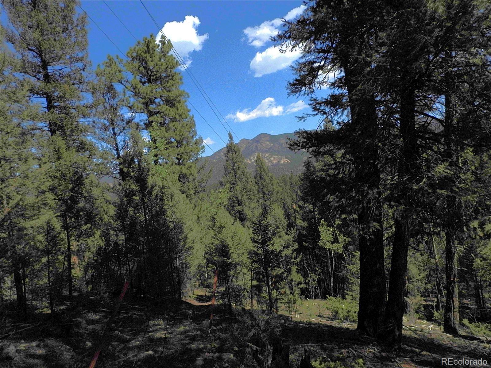 12907 S Cindy Avenue Pine CO 80470