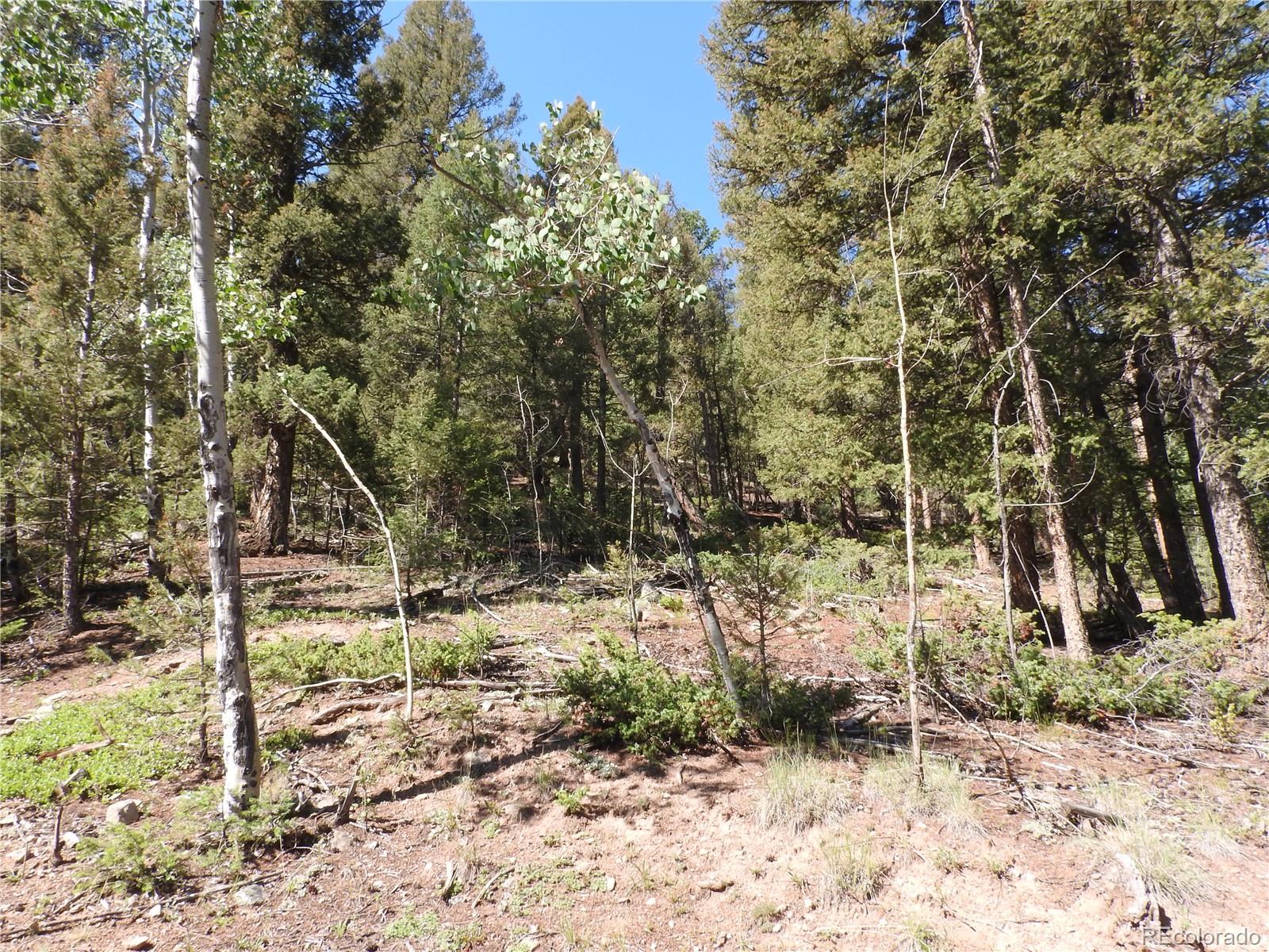 12907 S Cindy Avenue Pine CO 80470