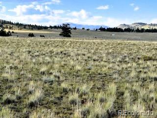 599 Summit Road Hartsel CO 80449