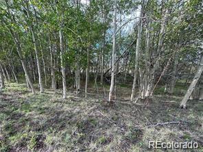 1599 Campfire Road Hartsel CO 80449