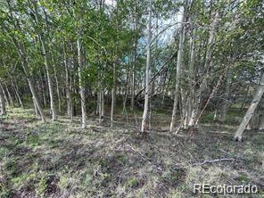 1599 Campfire Road Hartsel CO 80449