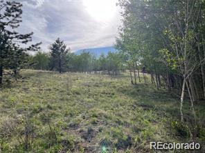 1599 Campfire Road Hartsel CO 80449