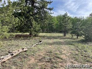 1599 Campfire Road Hartsel CO 80449