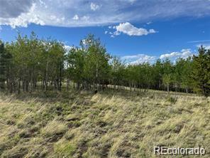 1599 Campfire Road Hartsel CO 80449