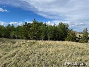 1599 Campfire Road Hartsel CO 80449