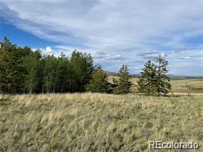 1599 Campfire Road Hartsel CO 80449