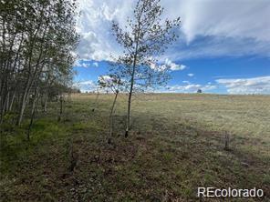 1599 Campfire Road Hartsel CO 80449