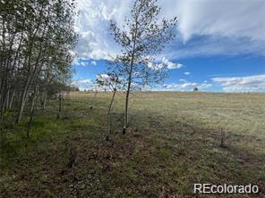 1599 Campfire Road Hartsel CO 80449