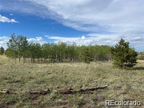 1599 Campfire Road Hartsel CO 80449