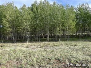 1599 Campfire Road Hartsel CO 80449