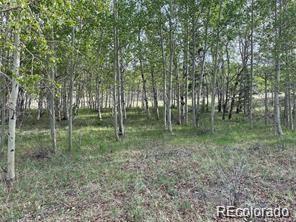 1599 Campfire Road Hartsel CO 80449