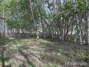 1599 Campfire Road Hartsel CO 80449
