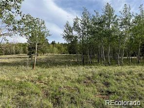 1599 Campfire Road Hartsel CO 80449