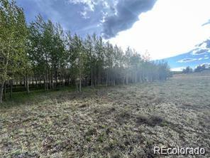 1599 Campfire Road Hartsel CO 80449