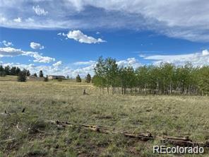 1599 Campfire Road Hartsel CO 80449