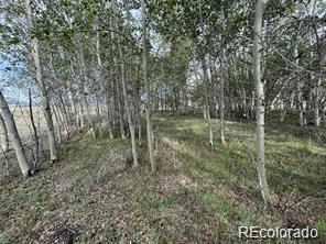 1599 Campfire Road Hartsel CO 80449