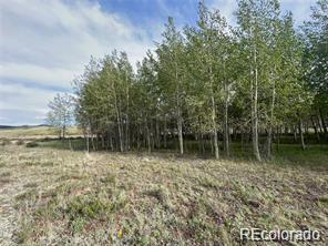 1599 Campfire Road Hartsel CO 80449