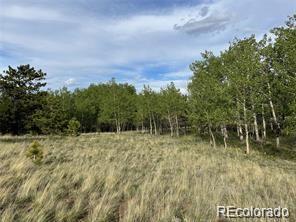 1599 Campfire Road Hartsel CO 80449
