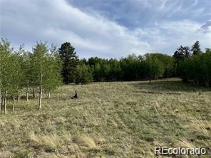 1599 Campfire Road Hartsel CO 80449