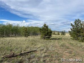 1599 Campfire Road Hartsel CO 80449