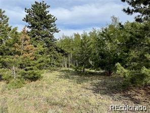 1599 Campfire Road Hartsel CO 80449