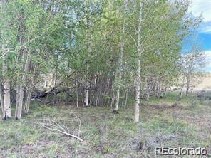 1599 Campfire Road Hartsel CO 80449