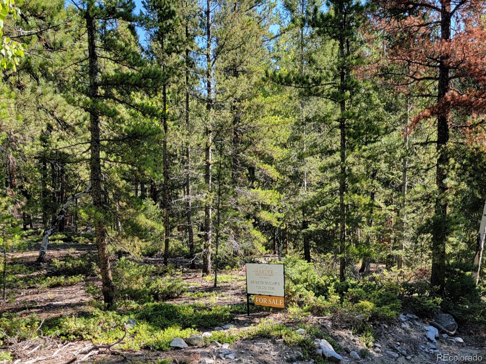 County Road 292a Nathrop CO 81236