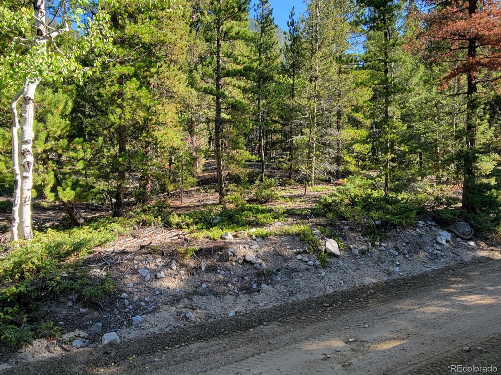 County Road 292a Nathrop CO 81236