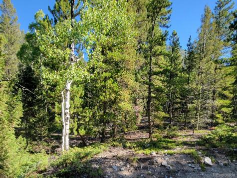 County Road 292a Nathrop CO 81236