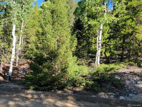 County Road 292a Nathrop CO 81236