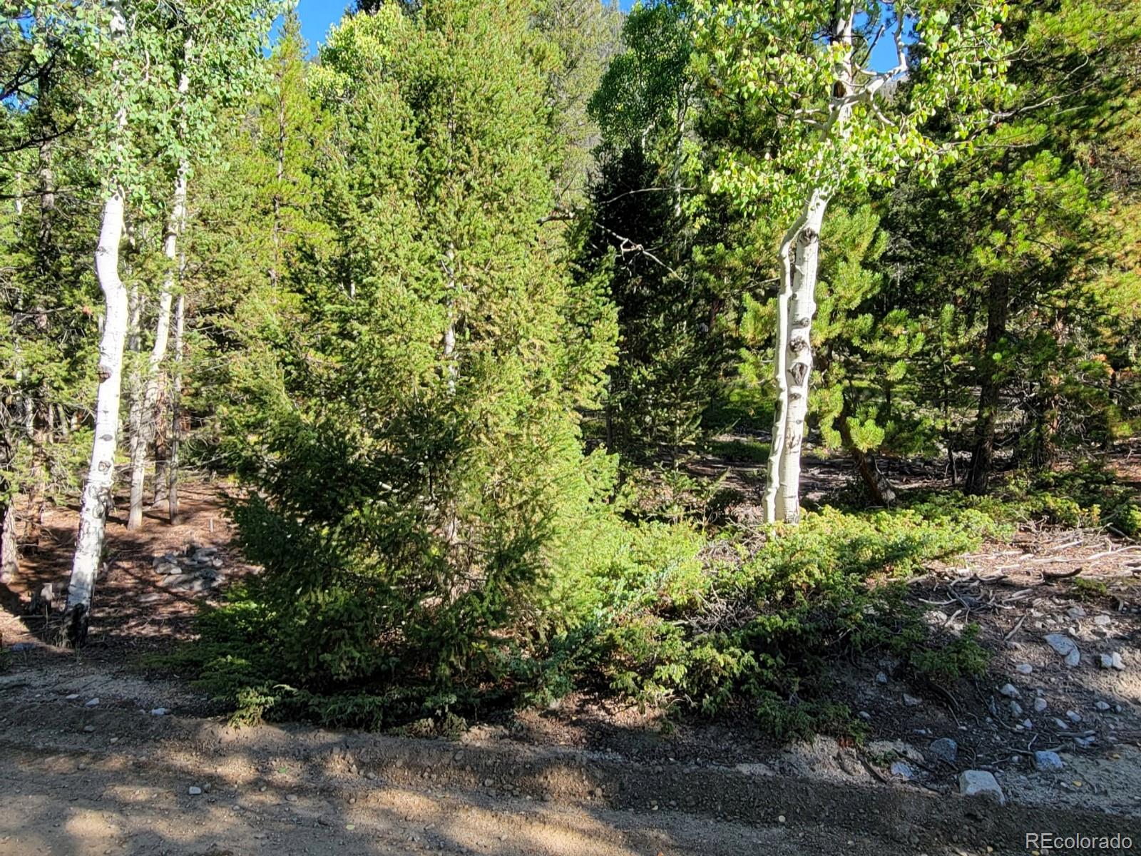 County Road 292a Nathrop CO 81236