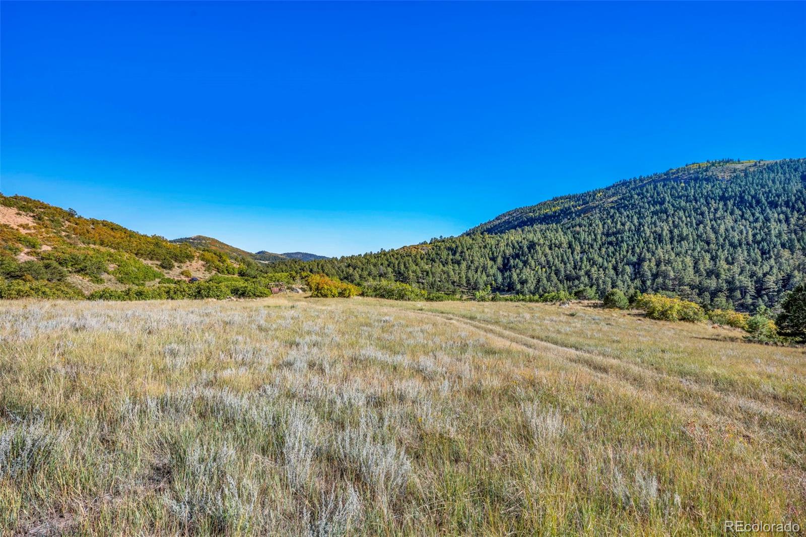 92 Bear Trax Drive Canon City CO 81212