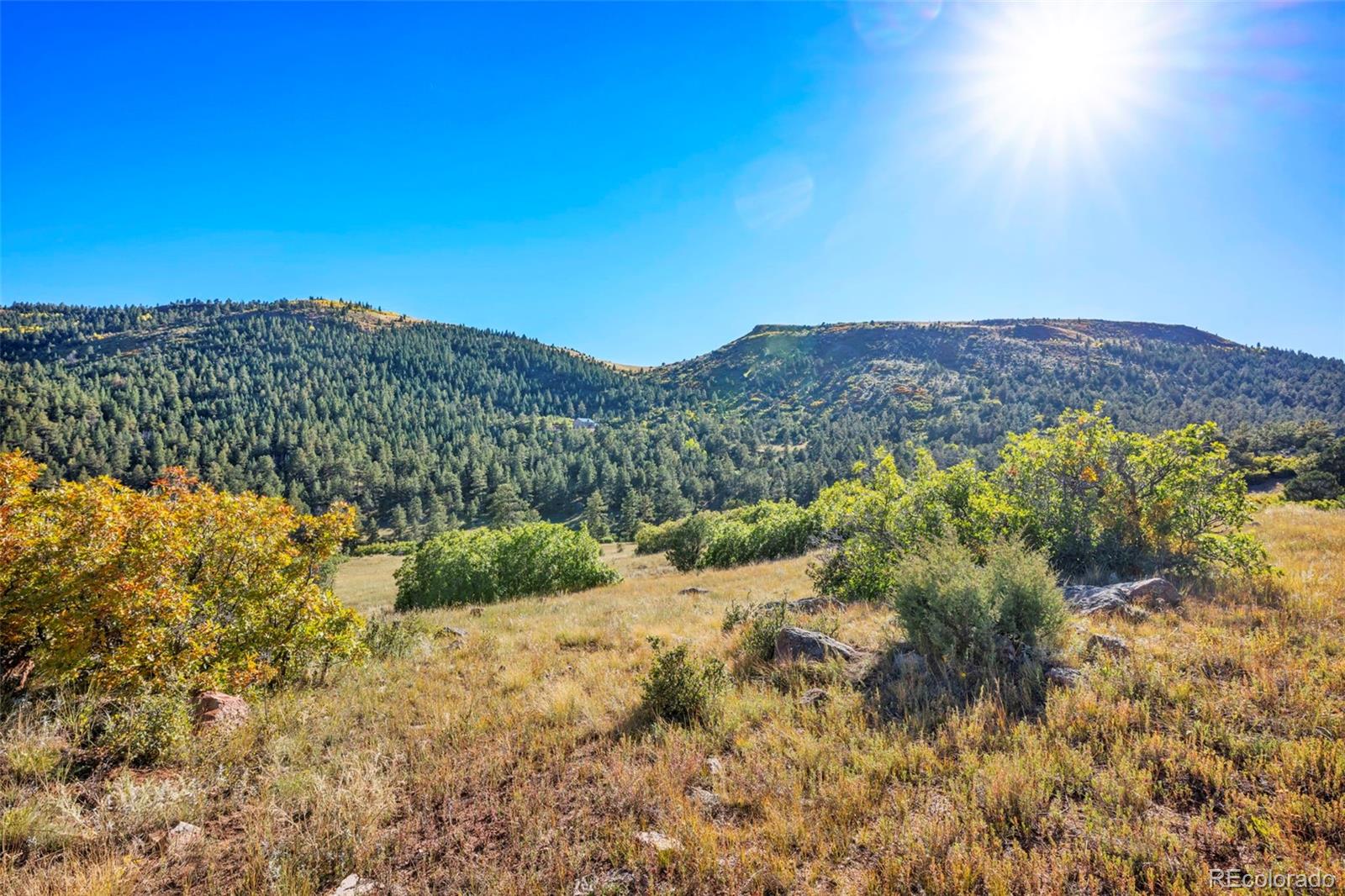 92 Bear Trax Drive Canon City CO 81212