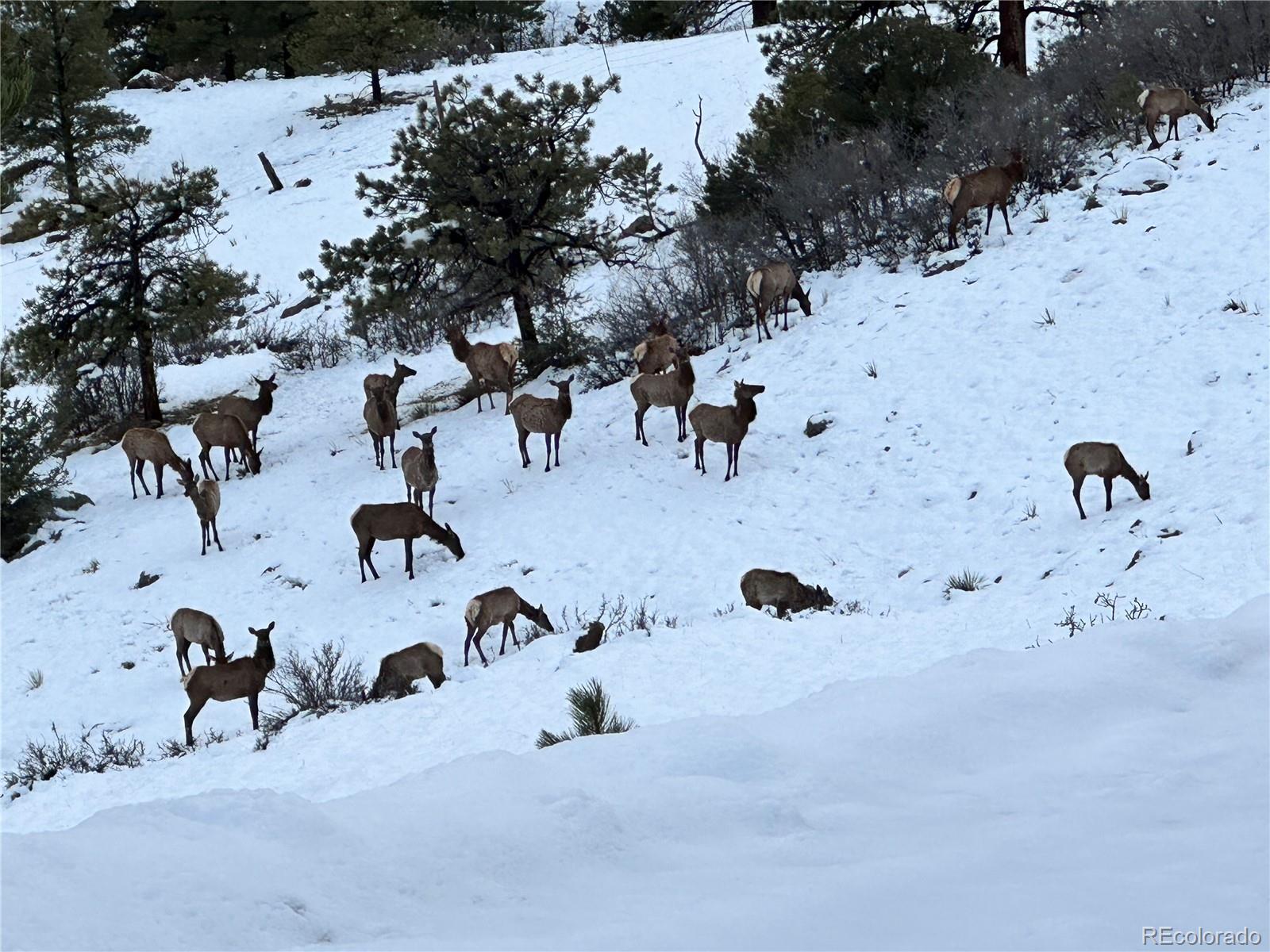 92 Bear Trax Drive Canon City CO 81212