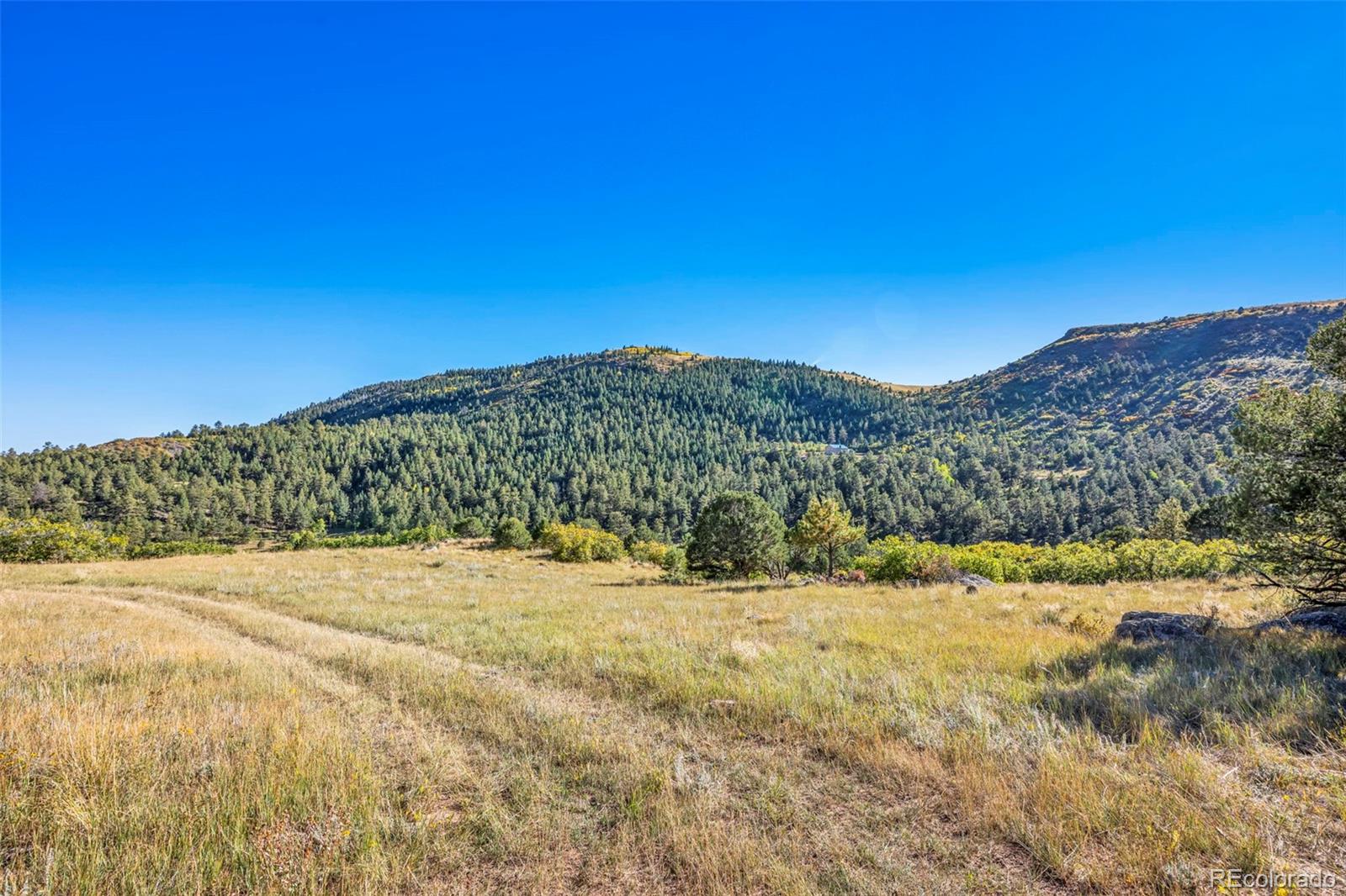 92 Bear Trax Drive Canon City CO 81212