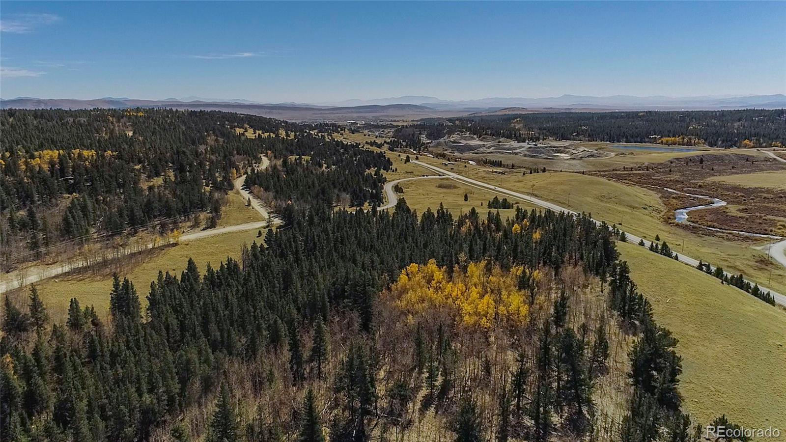 45 Platte River Drive Fairplay CO 80440