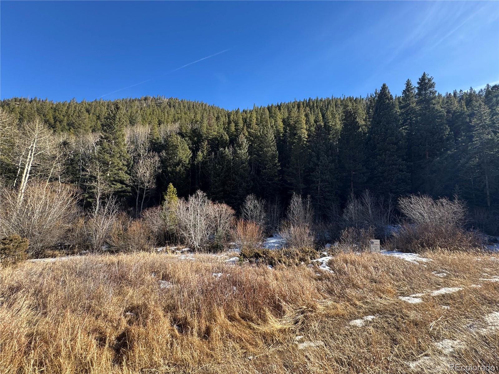 00 Highway 103 Idaho Springs CO 80452