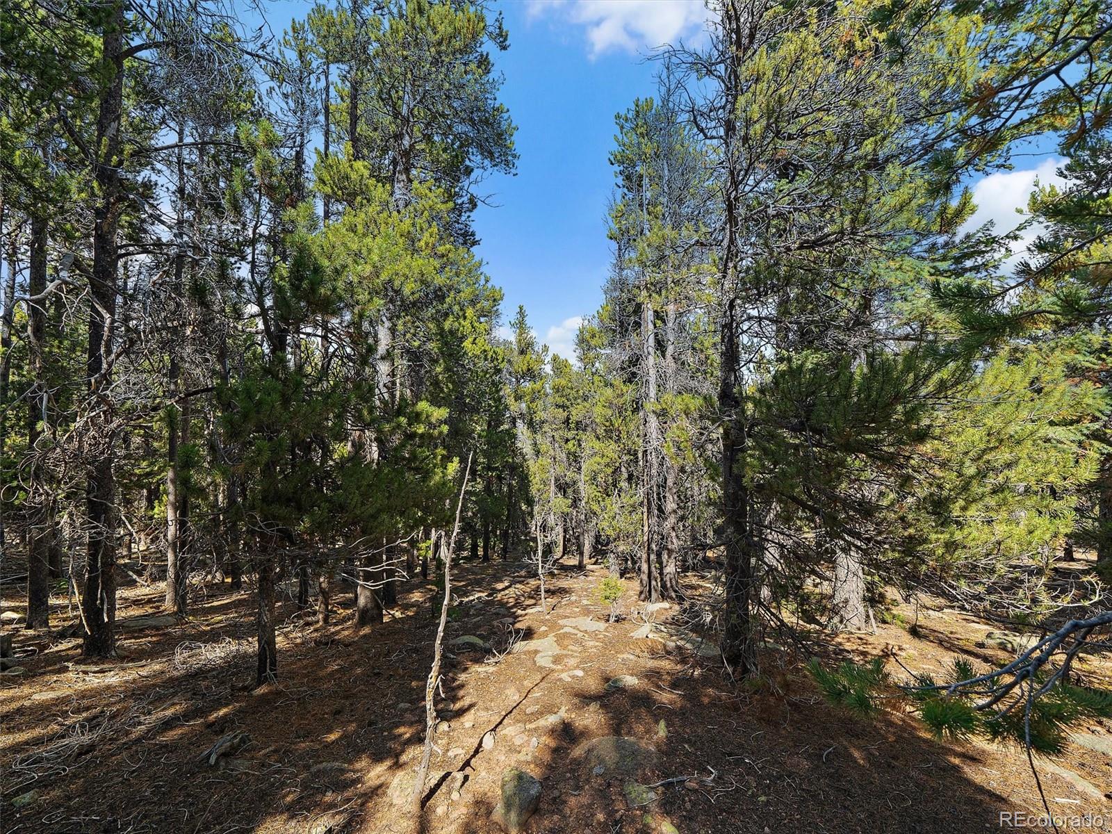 000 Edward Drive Conifer CO 80433