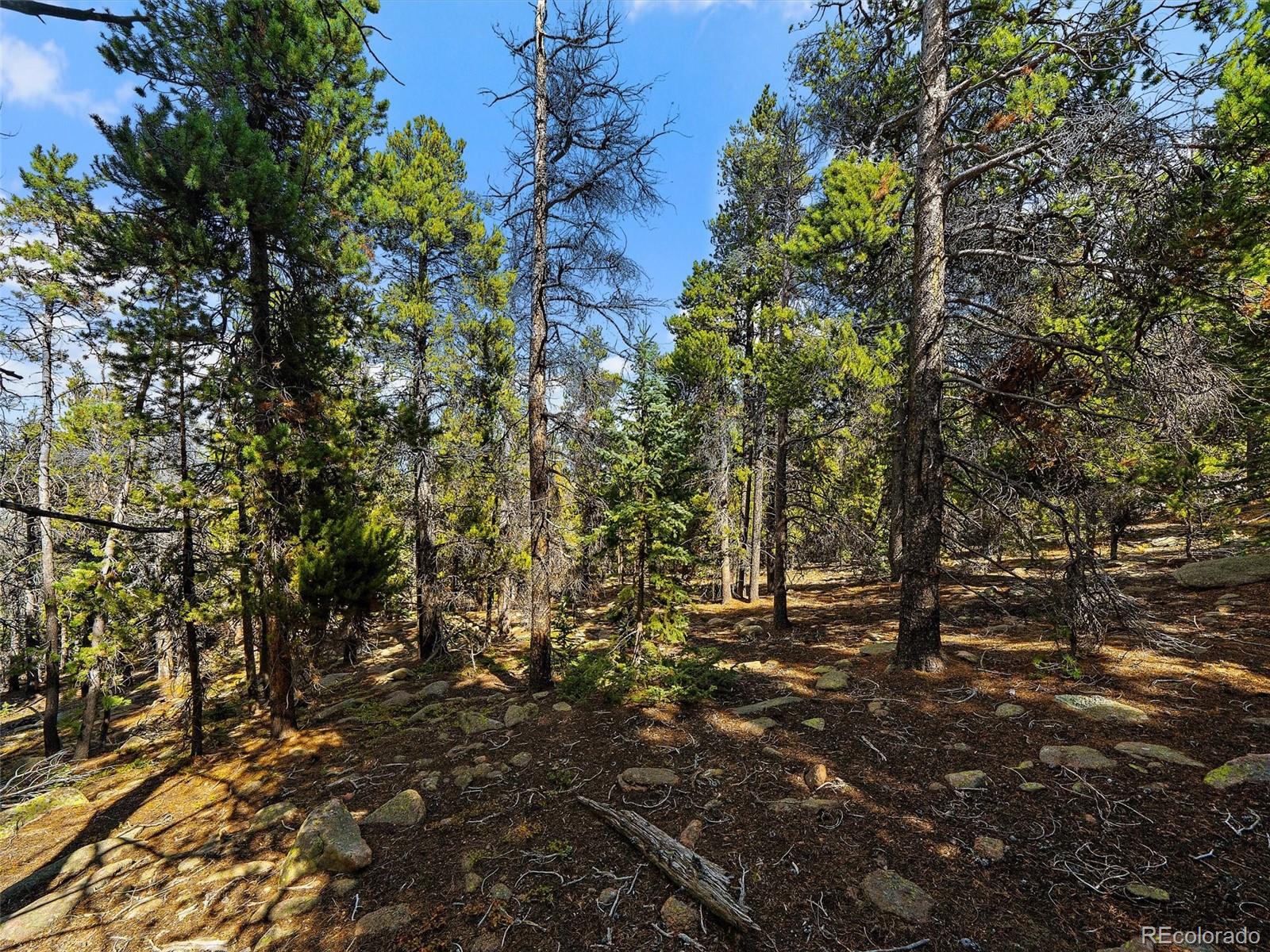 000 Edward Drive Conifer CO 80433
